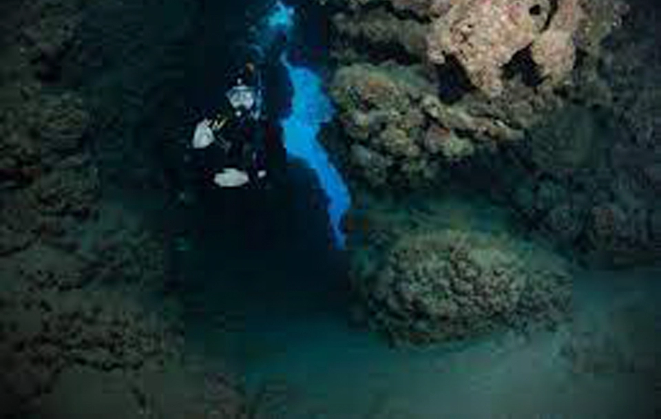 jackfish alley dive site, Ras mohammed destination scuba diving Egypt