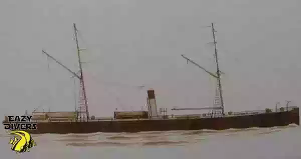 shagrock dive site kingston ship 1871
