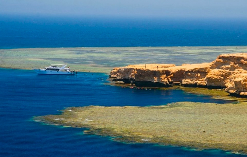 shark observatory dive site ras mohammed destination diving trip Egypt