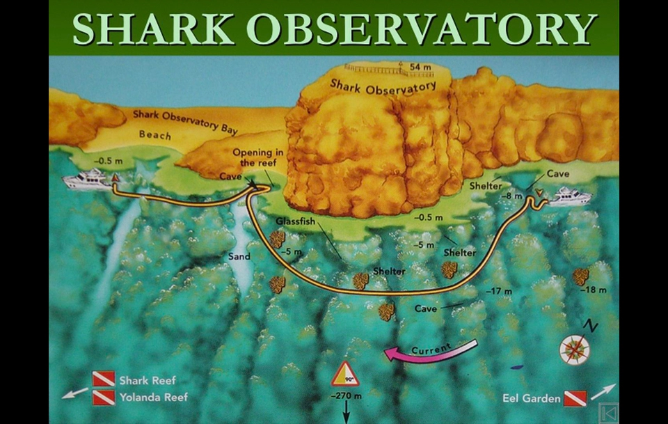 shark observatory dive site ras mohammed destination diving map